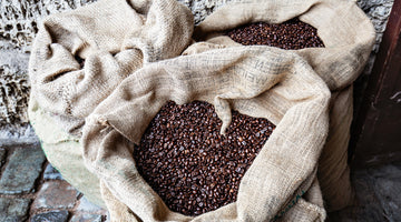 Coffee Beans in burlap bags