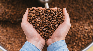 Coffee as Fuel for Creativity and Productivity (According to Science)
