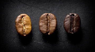 The Bean Battle Continues: Dark Roast Coffee vs. Light Roast Coffee