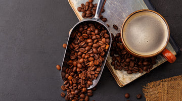 Coffee Beans in a scoop with a cup of coffee