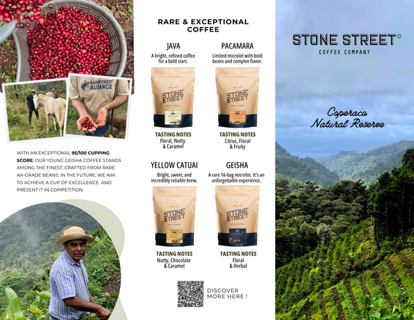 Nicaragua Yellow Catuai - Reserve Series