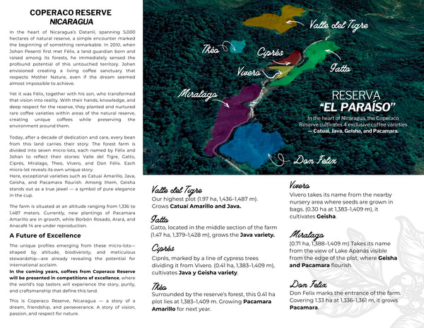 Nicaragua Yellow Catuai - Reserve Series