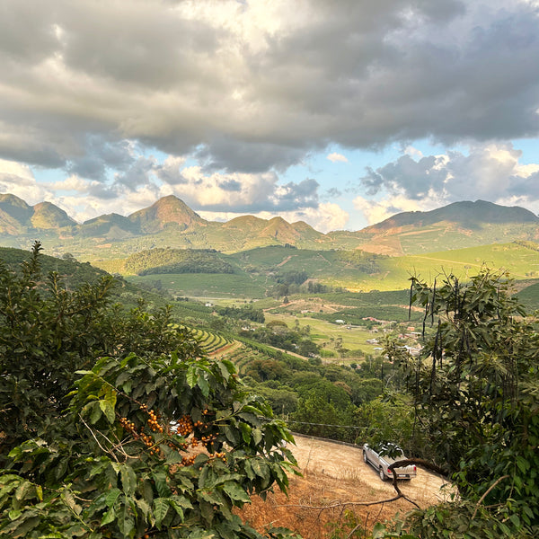 Brazil Matas de Minas