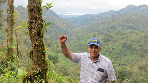 Nicaragua Geisha - Reserve Series