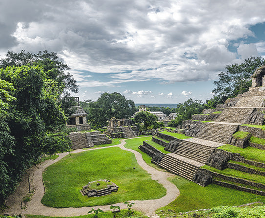 Mayan Landscape Coffee Inspiration